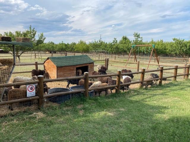 Agriturismo San Michele San Michele  Екстериор снимка