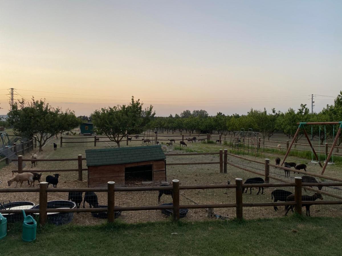 Agriturismo San Michele San Michele  Екстериор снимка